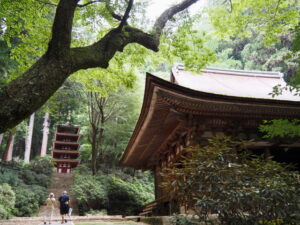 五重塔と本堂(灌頂堂)(室生寺)