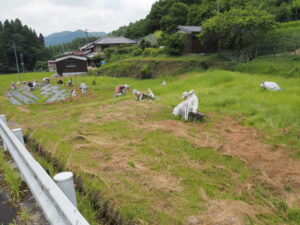 魅入ってしまう案山子（ととりの里公園）