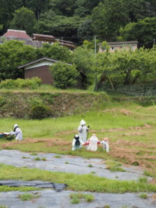 魅入ってしまう案山子（ととりの里公園）