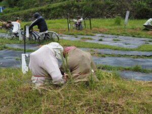 魅入ってしまう案山子（ととりの里公園）