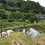 魅入ってしまう案山子（ととりの里公園）