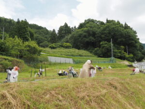 魅入ってしまう案山子（ととりの里公園）