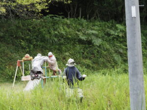 魅入ってしまう案山子（ととりの里公園）