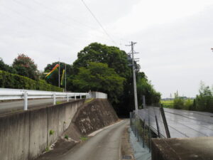 奈良街道（金剛山宝樹寺付近）