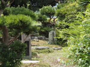 松阪市中道町にて