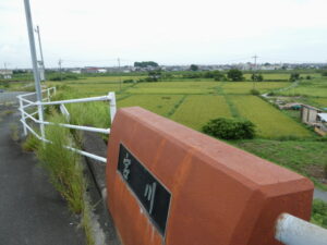 宮川大橋の左岸付近から望む田んぼ（伊勢市磯町）