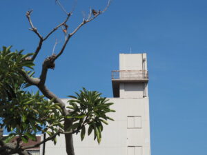 津市大門