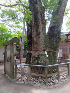 河邊七種神社（伊勢市河崎）
