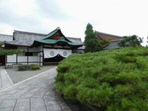 式台玄関と臥竜の松（大覚寺）