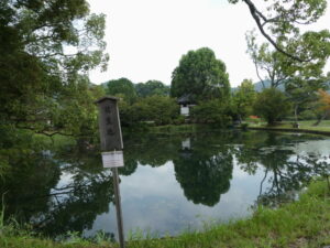 放生池（大沢池）