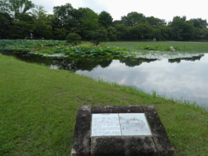 菊ヶ島と庭湖石（大沢池）