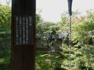 悲田梅（永観堂）
