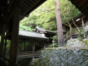 三鈷の松（永観堂）