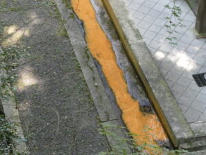 永観堂にて
