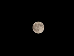 皆既月食を迎える前夜の月
