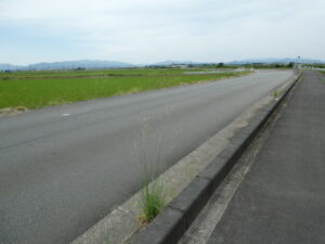 おかげバス東大淀バス停〜北濱橋
