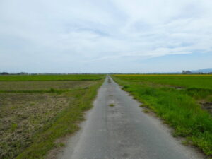 伊勢市東大淀町にて