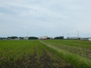 伊勢湾方向の遠望（伊勢市東大淀町にて）