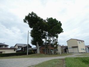 千引神社（伊勢市東大淀町）