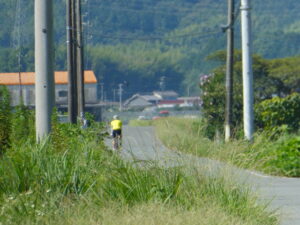 外城田川沿いの道(多気町土羽)
