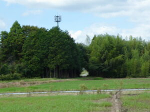 玉城町原にて