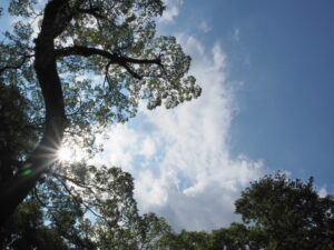 内宮、神楽殿授与所前にて