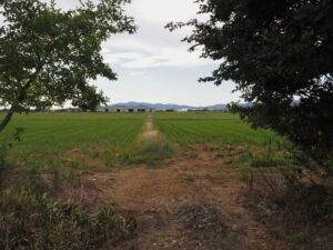 伊勢市小俣町明野