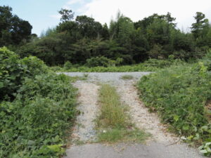 大堀川の右岸（伊勢市柏町）