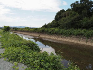大堀川の右岸（伊勢市柏町）