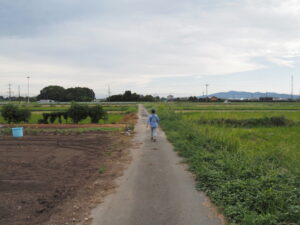 伊勢市柏町にて