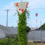 オブジェと化した交通標識（明和町大淀）