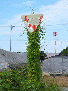 オブジェと化した交通標識（明和町大淀）