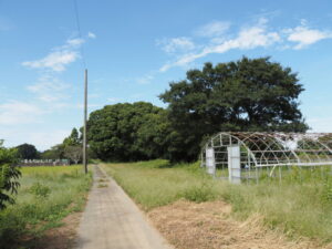 明和町大淀