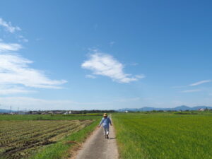 伊勢市柏町にて