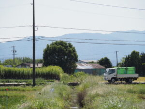 伊勢市柏町にて