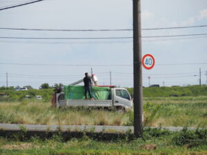 伊勢市柏町にて
