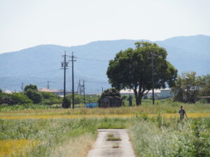 伊勢市柏町