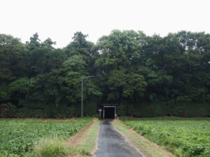 神麻続機殿神社（皇大神宮 所管社）