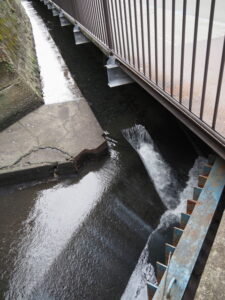 豊川と清川との合流地点