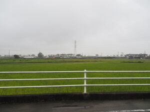 伊勢みそのde秋のフリーウォーキングの風景