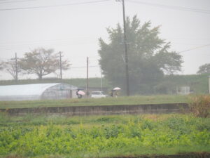 伊勢みそのde秋のフリーウォーキングの風景