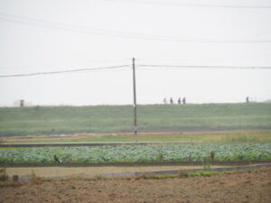 伊勢みそのde秋のフリーウォーキングの風景