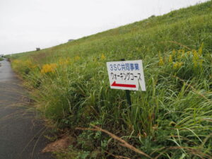 伊勢みそのde秋のフリーウォーキングの風景