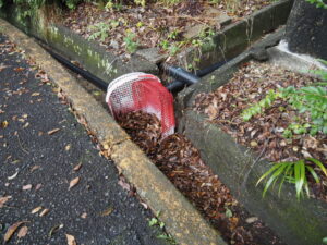 旅荘 海の蝶からの下り坂道にて