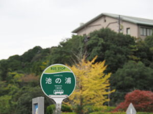 池の浦バスのりば