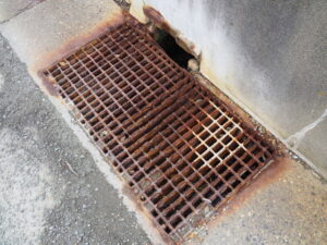 国道42号の歩道にて(伊勢市二見町江)