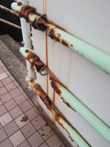 国道42号の歩道にて(伊勢市二見町江)