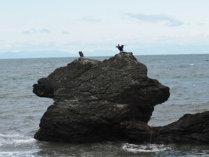 獅子岩(二見興玉神社にて)