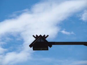 国道42号の歩道にて(伊勢市二見町荘)