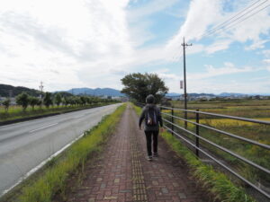 国道42号の歩道にて(伊勢市一色町)